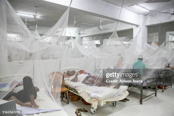 Dengue patients are seen at Shaheed Suhrawardy Medical College and Hospital on August 18, 2019 in Dhaka, Bangladesh. 1,460 people were infected in 24...