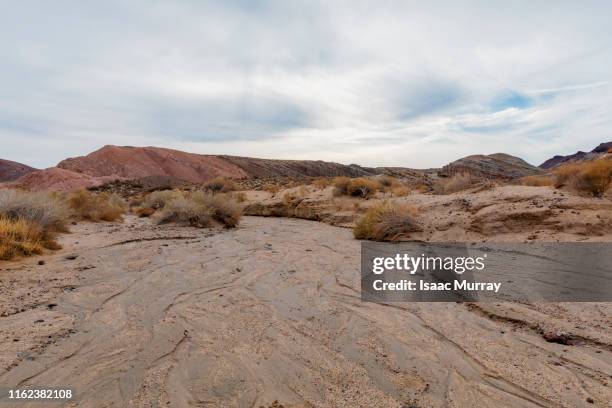 damp desert floor in southern california - riverbed fotografías e imágenes de stock