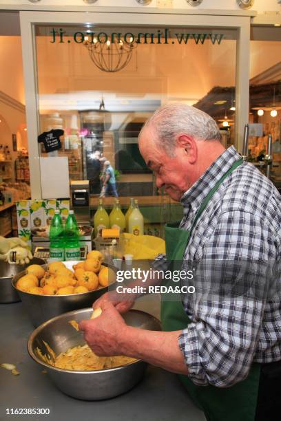 Limonoro. Limoncello producer. Sorrento. Sorrentine Peninsula. Campania. Italy. Europe.