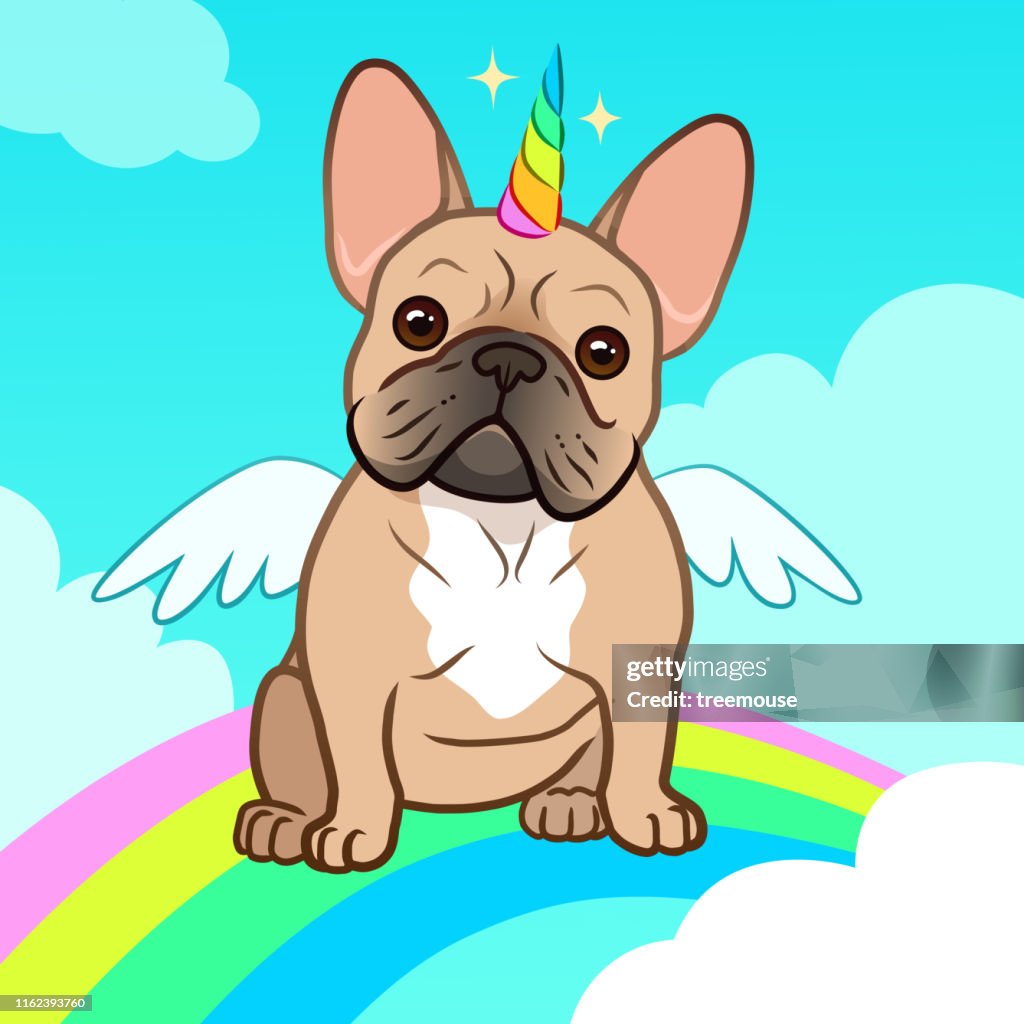 Bulldog Francés De Unicornio Con Cuerno Y Alas Ilustraciones De Dibujos Animados Vectoriales Lindo Bulldog Perrito Perro En El Cielo Con Arco Iris Y Nubes Humorístico Mágico Mascotas Criaturas Míticas Cree En Bulldog Francés De Unicornio Con Cuerno Y Alas Ilustraciones De Dibujos Animados Vectoriales Lindo Bulldog Perrito Perro En El Cielo Con Arco Iris Y Nubes Humorístico Mágico Mascotas Criaturas Míticas Cree En