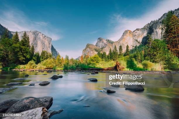 yosemite park during a sunny day - yosemite national park stock pictures, royalty-free photos & images