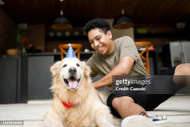 boy and dog best friends - dog birthday stock pictures, royalty-free photos & images