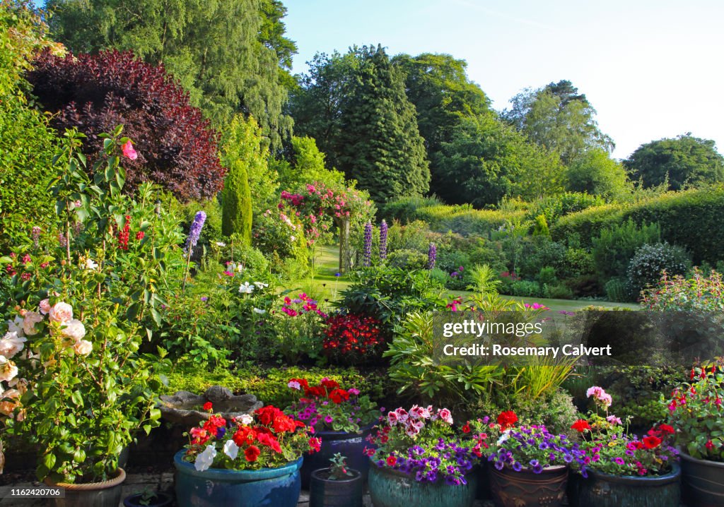 Colourful English domestic garden full of flowers in July.