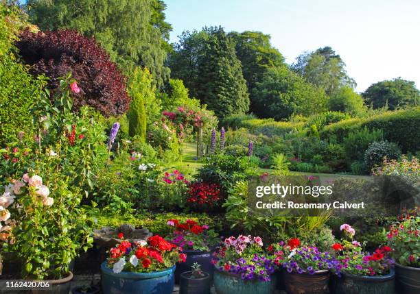 colourful english domestic garden full of flowers in july. - haslemere stock pictures, royalty-free photos & images