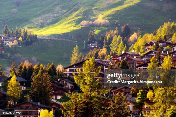 wooden houses and trees on the mountain - verbier stock pictures, royalty-free photos & images