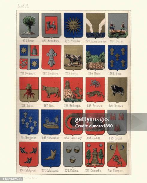 stockillustraties, clipart, cartoons en iconen met heraldiek, wapenschilden van spanje - pluim