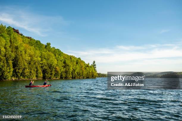 young gay couple canoeing on a lake. - city break stock pictures, royalty-free photos & images