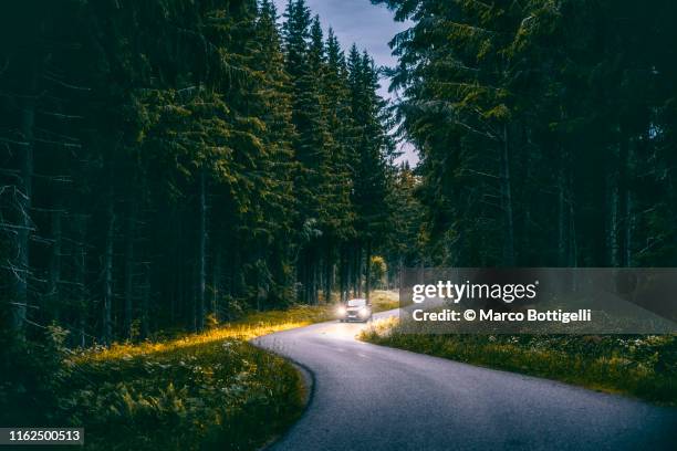 car driving in a forest at night in smaland region, sweden - driving in europe stock pictures, royalty-free photos & images