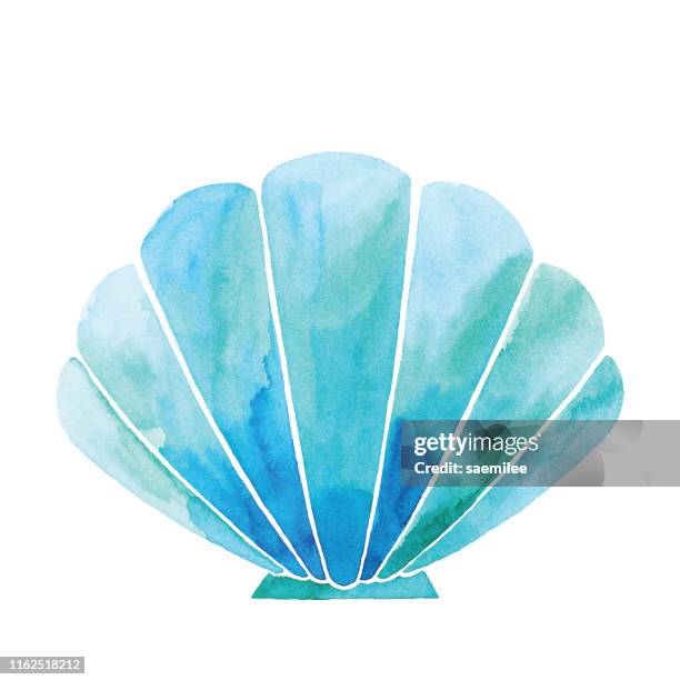 stockillustraties, clipart, cartoons en iconen met aquarel blauwe shell - schaal