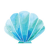 Watercolor Blue Shell