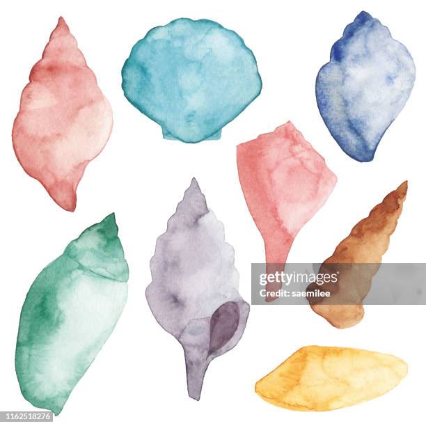 水彩海殼套裝 - conch shell 幅插畫檔、美��工圖案、卡通及圖標