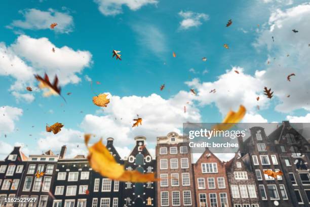 herbst in amsterdam - amsterdam blue sky stock-fotos und bilder