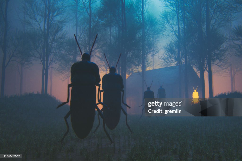 Spooky Insect Priest In The Forest At Night High-Res Stock Photo ...