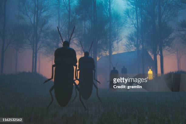 spooky insect priest in the forest at night - no church in the wild stock pictures, royalty-free photos & images