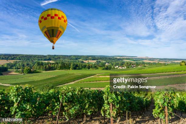 colorful hot air balloons flying over champagne vineyards at bordeaux - hot air balloon australia stockfoto's en -beelden