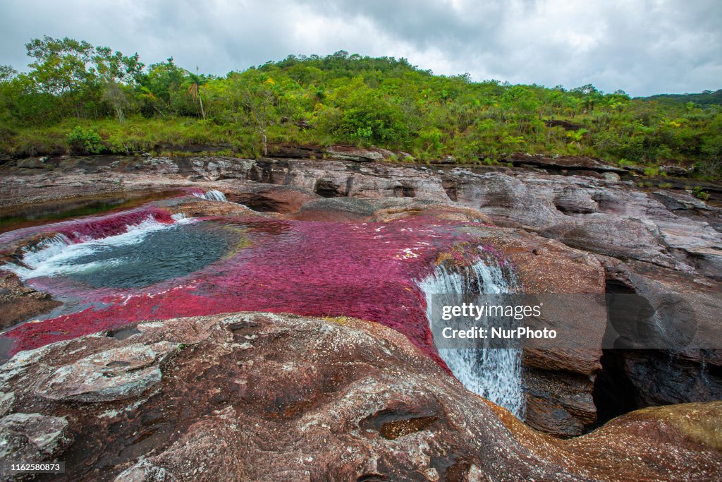 Caño Cristales Colombia