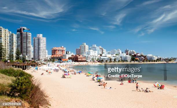 view of mansa beach in punta del este city, uruguay - punta del este stock-fotos und bilder