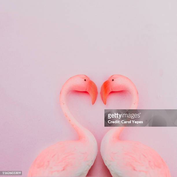 flamingo love in pink - flamingo heart fotografías e imágenes de stock