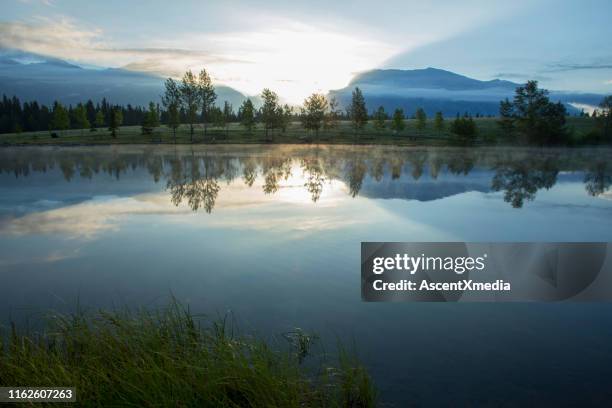 perfect reflection of forest and mountains in lake at sunrise - wilderness stock pictures, royalty-free photos & images