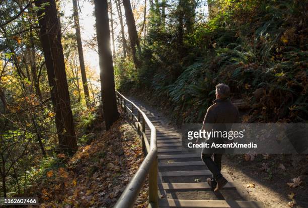 man walks down steps through forest and into the sunlight - spirituality stock pictures, royalty-free photos & images