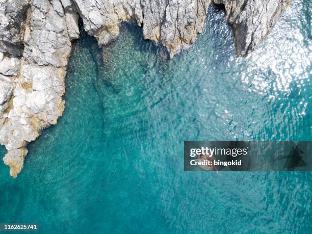 frau schwimmt in schönem klarem wasser - croatia stock-fotos und bilder