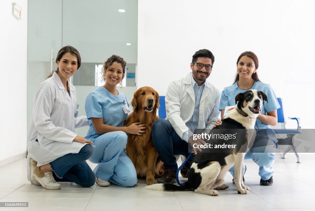 Happy Vets At An Animal Hospital With Dogs High-Res Stock Photo - Getty  Images