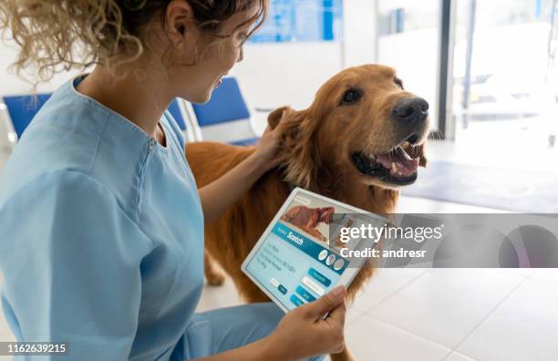Vets Using A Computer 1,974 Vet Tech With Dog Stock Photos, High-Res Pictures, and Images ...