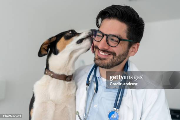 zeer gelukkige dierenarts die een kus van een hond krijgt - dierenarts stockfoto's en -beelden