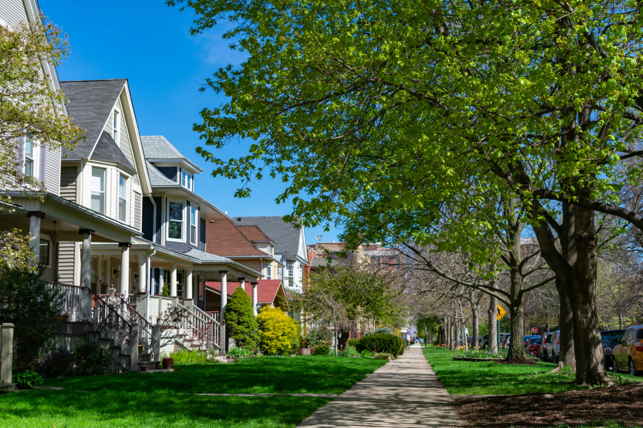 spring real estate