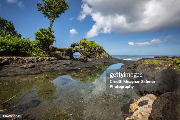 to sua rock pools - upolu island stock pictures, royalty-free photos & images