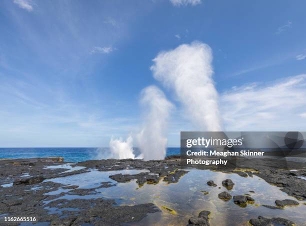 alofaaga blowholes - geyser ストックフォトと画像