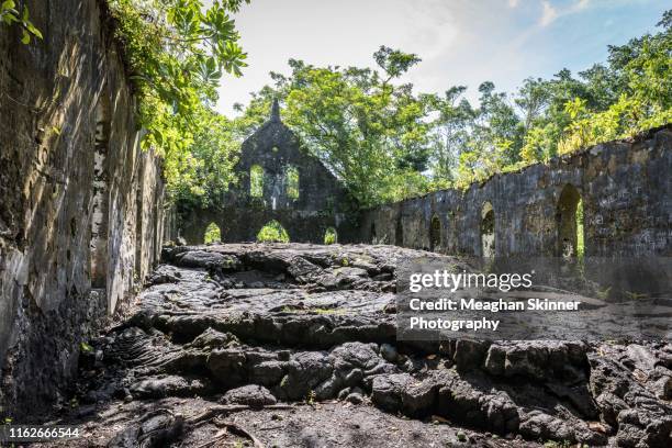 saleaula lava fields - samoa lava stock pictures, royalty-free photos & images