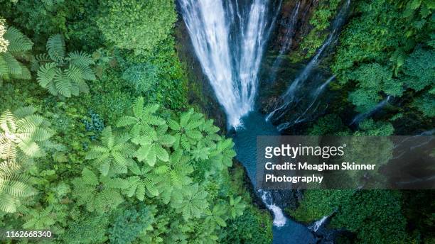 papapapaitai falls - rainforest waterfall stock pictures, royalty-free photos & images