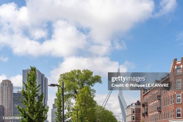 rotterdam skyline against blue sky - erasmusbrücke stock-fotos und bilder