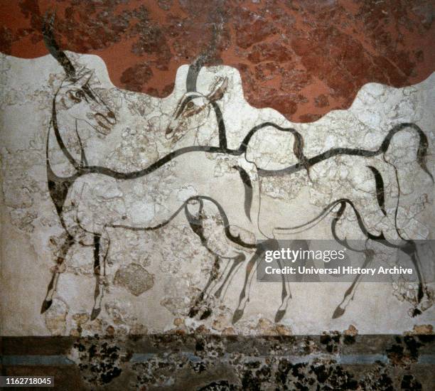 The Antelope fresco. 16th century BC. Room B1. Building B. Detail. Akrotiri, Thera . National Archaeological Museum. Athens, Greece.