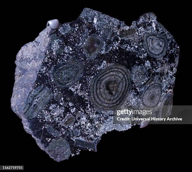 68 Plutonic Igneous Rock Stock Photos, High-Res Pictures, and Images ...