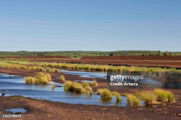 Peat extraction at Totes Moor / Tote Moor, raised bog near Neustadt am Rubenberge, district of Hannover, Lower Saxony / Niedersachsen, Germany.