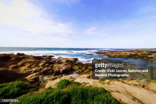 art of the coastline near pebble beach, california - pebble beach california stockfoto's en -beelden