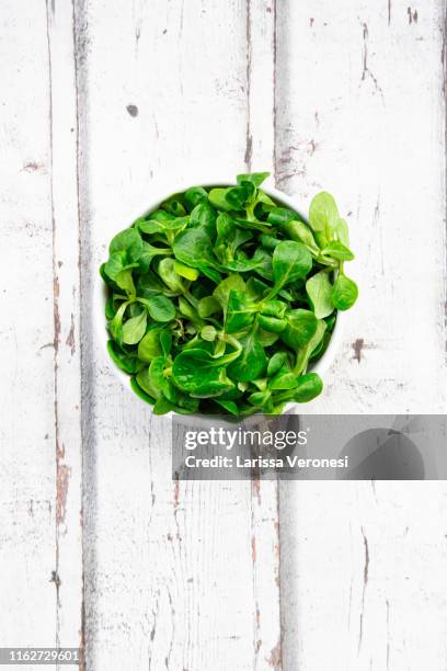 organic lamb's lettuce - groene salade stockfoto's en -beelden