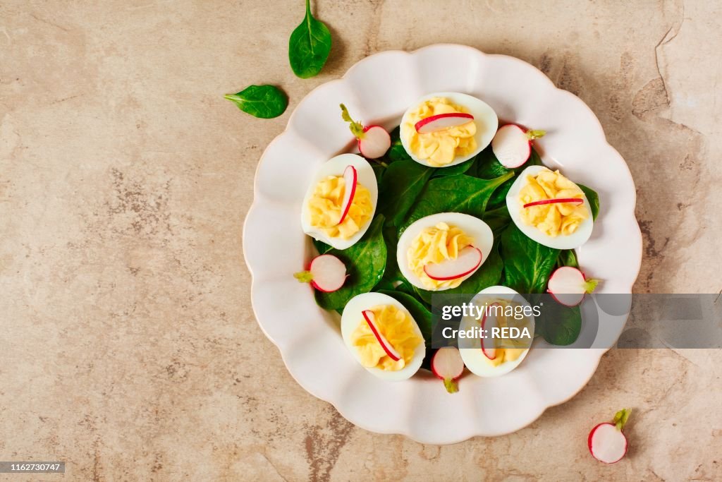 Deviled Eggs as an Appetizer. top view. copy space