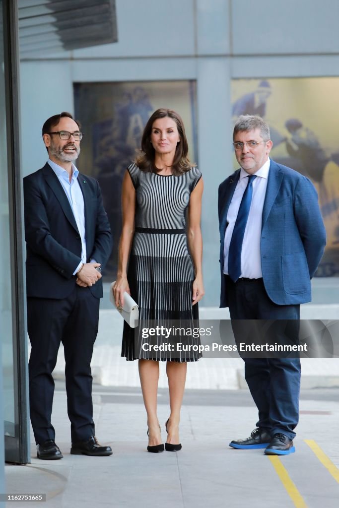 Queen Letizia Arrives At A Meeting With 'Fundeu BBVA'