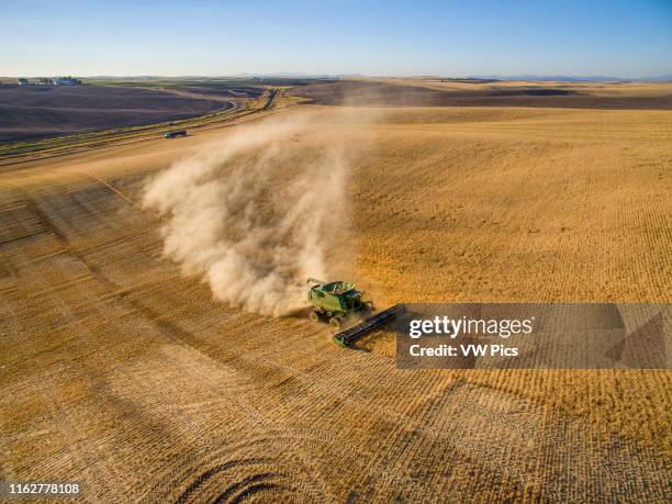 Barley harvest in Reardan, Washington.