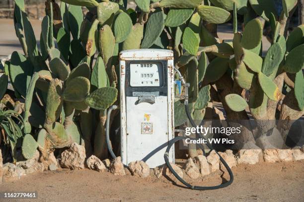 An antique gas pump is situated in front of cacti plants in Solitaire, Namibia.