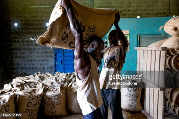 Cocoa workers loading a bag in Agboville, Ivory Coast.