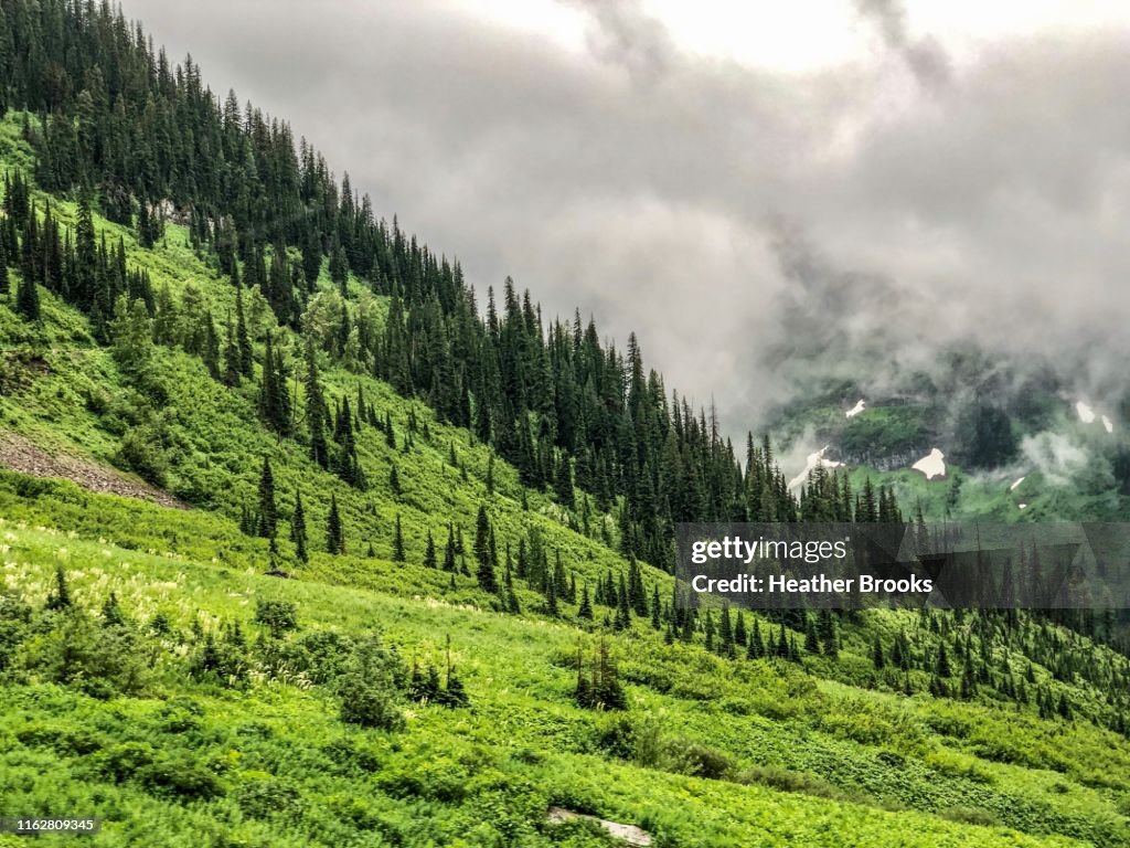 Logan Pass