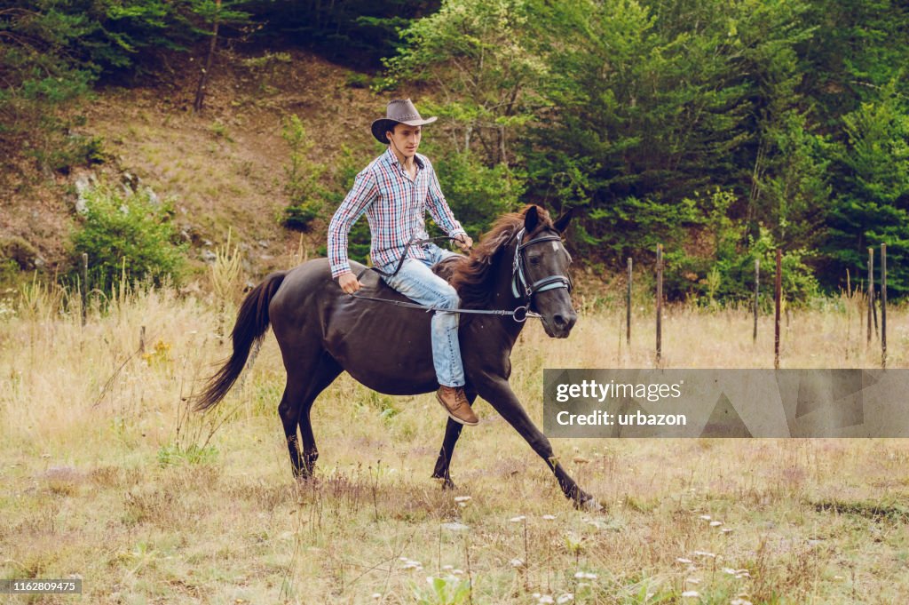 Man Riding Rocking Horse Young Man Riding A Horse High-Res Stock Photo - Getty Images