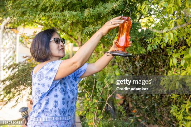 senior giapponese donna che controlla bird feeder - bird feeder foto e immagini stock