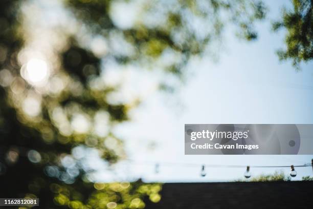 backyard green leaf bokeh with string lights and blue sky - courtyard garden stockfoto's en -beelden