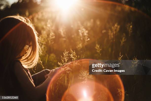 little girl plays in meadow on prairie at sunset in north dakota - goldene stunde stock-fotos und bilder