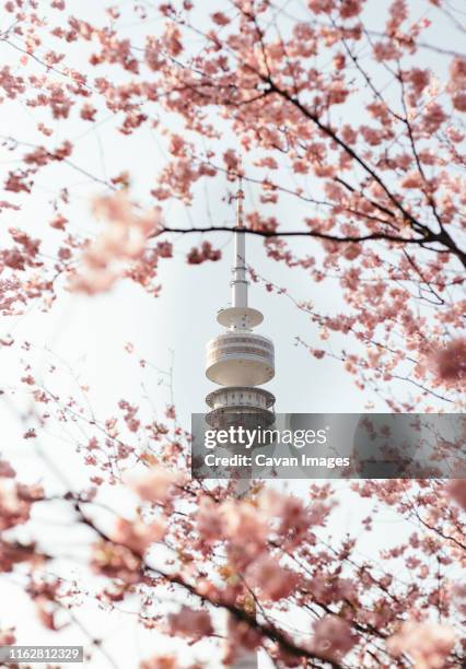 olympiapark in munich - olympiapark stock pictures, royalty-free photos & images